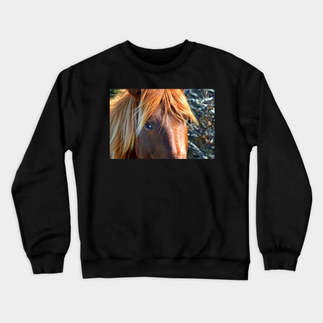 Assateague Pony Eyes Crewneck Sweatshirt by Swartwout